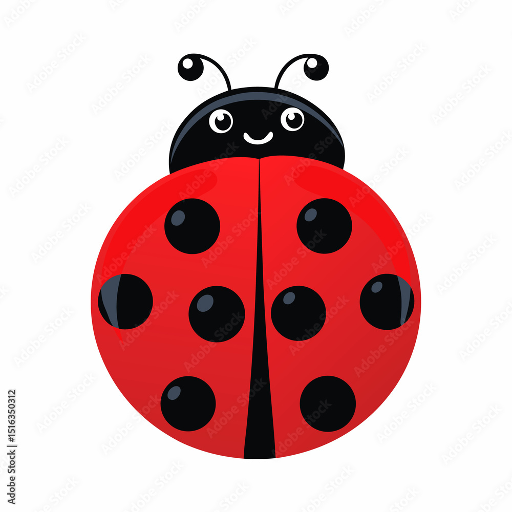 Obraz premium ladybug on white