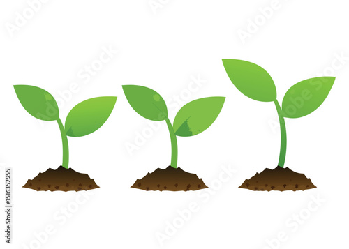 young green plant vector