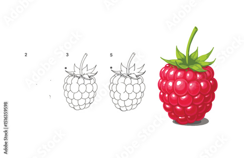 Connect the Dots Learn to Draw a Delicious Raspberry! Fun Educational Activity for Kids