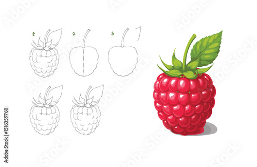 Learn to Draw a Raspberry Step-by-Step Guide for Beginners and Artists