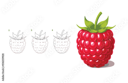 Learn to Draw a Delicious Raspberry Step-by-Step Guide for Kids and Beginners
