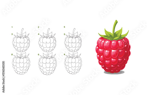 Delicious Raspberries Coloring Page and Illustration of Juicy Summer Berries