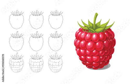 Learn to Draw Raspberries Easy Step-by-Step Guide with Coloring Pages for Kids and Beginners