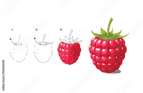 Learn to Draw a Delicious Raspberry Step-by-Step Guide for Beginners
