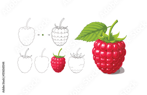 Learn to Draw Raspberries A Step-by-Step Guide for Beginners and Artists