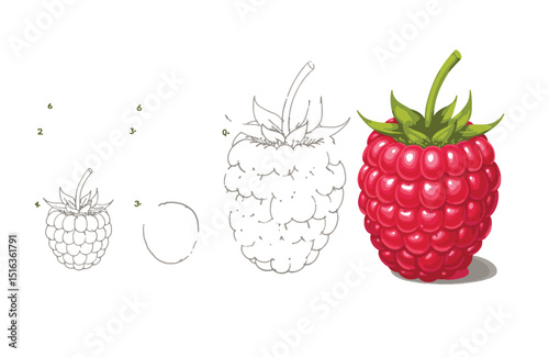 Learn to Draw a Raspberry Step-by-Step Coloring Page for Kids and Beginners