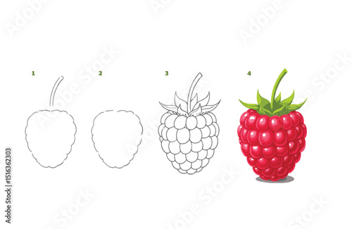 Learn to Draw a Raspberry Step-by-Step Guide for Beginners, Easy Raspberry Drawing Tutorial, Simple Illustration