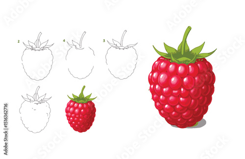 Learn to Draw a Delicious Raspberry A Step-by-Step Guide for Beginners and Artists