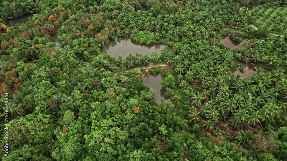 Breathtaking aerial views of Thailand's lush landscapes with rivers, hills, and tranquil ocean waves Breathtaking aerial views of Thailand's lush landscapes with rivers, hills, and tranquil ocean waves