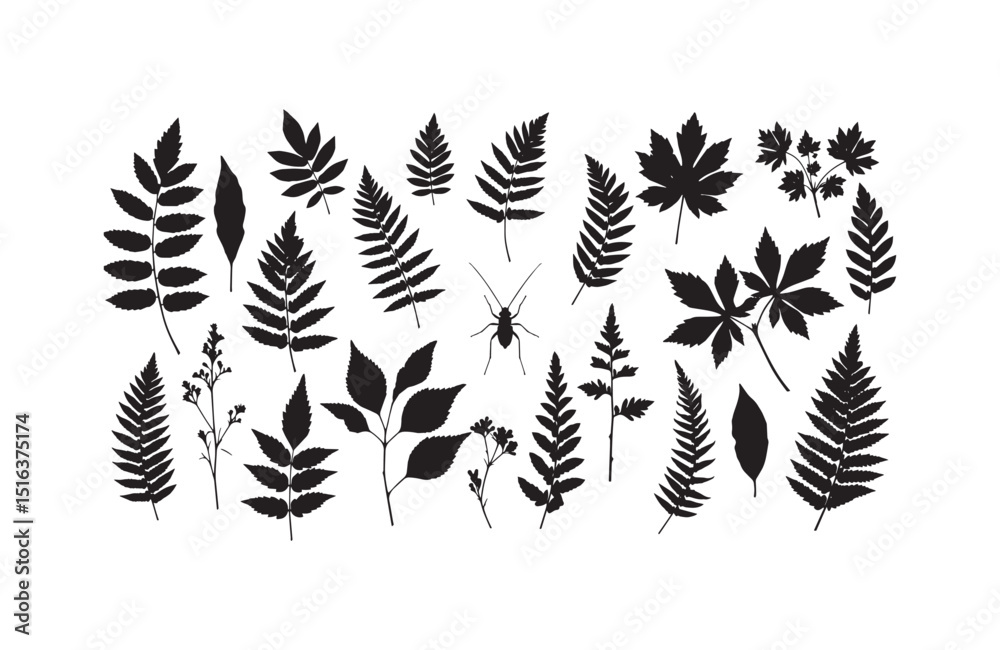 Fototapeta premium Collection of Black and White Silhouette Botanical Leaf Illustrations Ferns, Maple, and More
