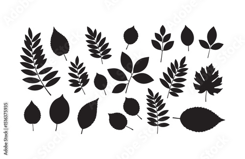 Collection of Black and White Silhouettes of Various Leaves Perfect for Design Projects