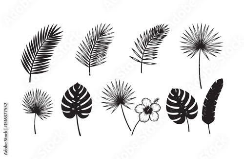 Tropical Palm Leaves and Flowers Black and White Silhouette Illustrations