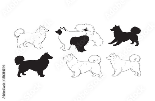 Six Spitz Dog Breeds Elegant Black and White Illustrations