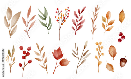 Watercolor autumn herbs and berries set. Hand painted fall botanical elements for cards, prints and seasonal design