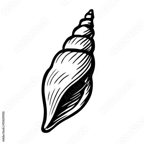貝　線画　手書き