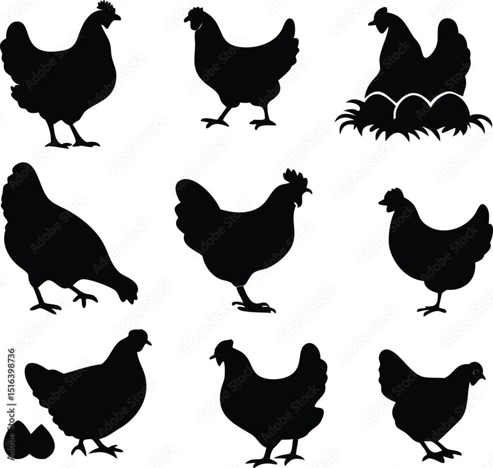 Fototapeta premium hen chicken icon set. chicken silhouettes, vector Illustration