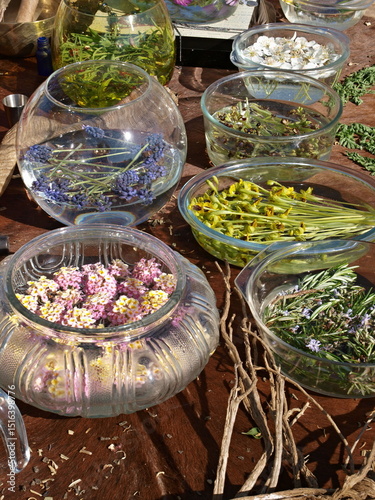 Konstfotografi Herbalist preparing natural remedies with fresh flowers and medicinal herbs