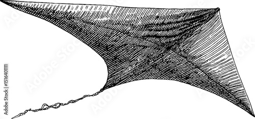Engraved beach kite illustration with bold lines for artistic design