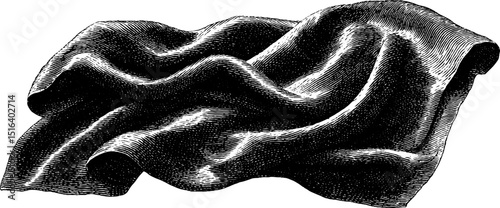 Vintage engraved blanket illustration with bold black lines