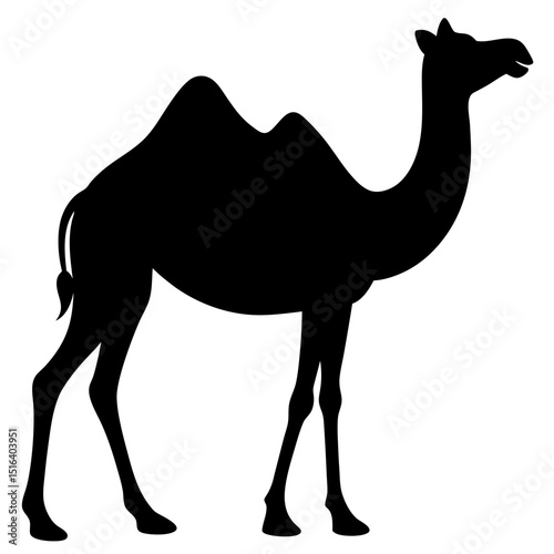 camel in the desert