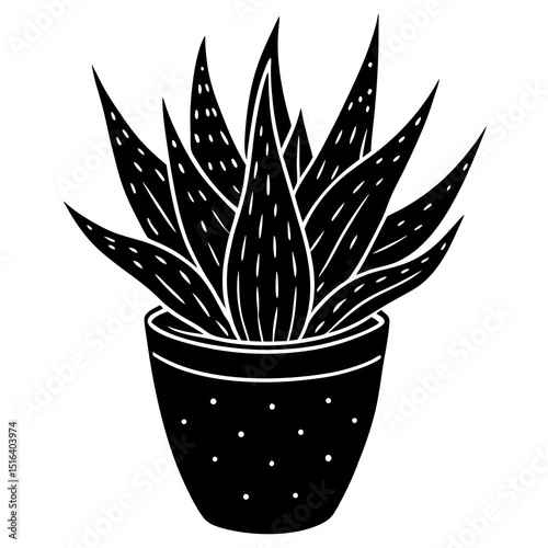 plant in a pot