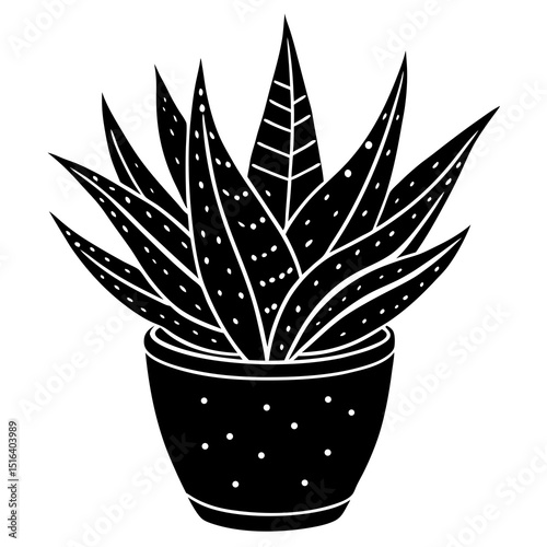 cactus in a pot