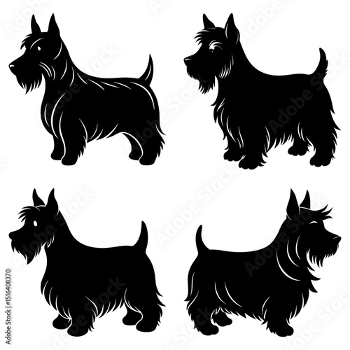 Four scottish terrier silhouettes in various poses against a white background artfully displayed