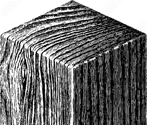 Engraved black line illustration of wooden fence post texture for design projects