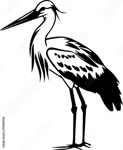 Black and white stork illustration