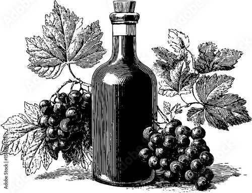 Vintage engraving of grape juice bottle with grapevine leaves and clusters for design use