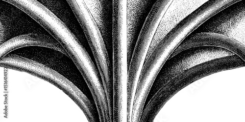 Intricate engraved illustration of architectural groin vault design for art and historical study