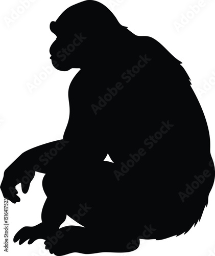 Black chimpanzee silhouette vector illustration depicting sitting position with detailed outlines and transparency on white background