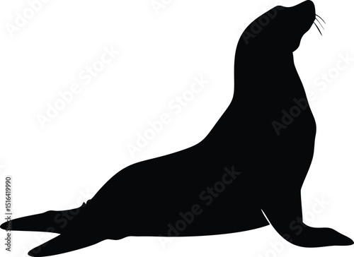 Black silhouette sea lion resting in a vector illustration with tranquility on a white background for design.