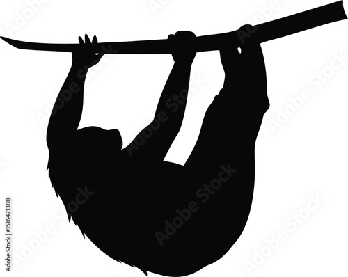 Black silhouette vector illustration of a sloth hanging on a branch with a transparent and minimalist design