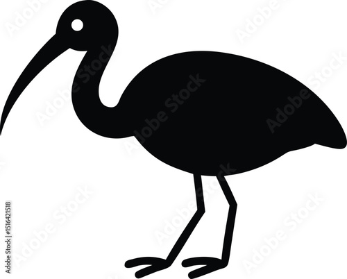 Black silhouette vector illustration of an ibis bird standing proudly on white background depicting nature