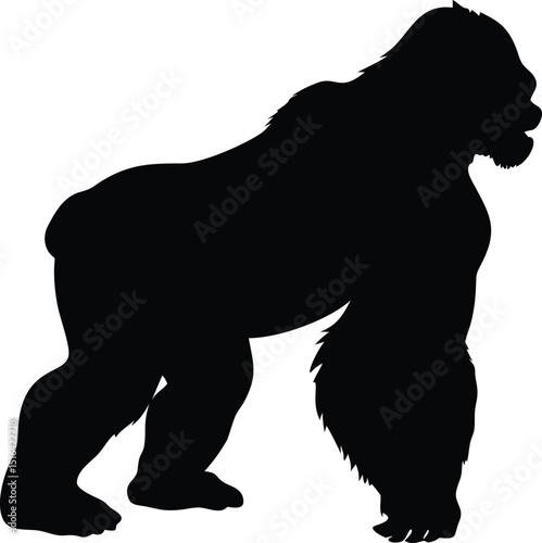 Bold gorilla silhouette pounding chest black vector design showing strength and power in animal form