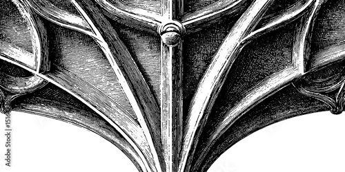 Engraved architectural rib vault design in black and white