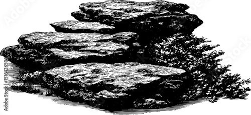Engraved illustration of a rustic stone path with natural foliage design