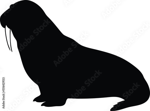 Vector illustration of a black walrus silhouette with tusks isolated against a white background for design
