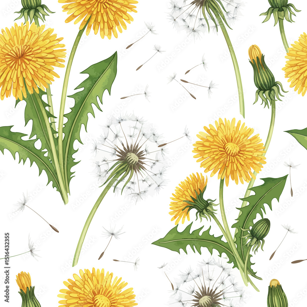 Obraz premium Watercolor Dandelion Flower and Seed Head Seamless Pattern