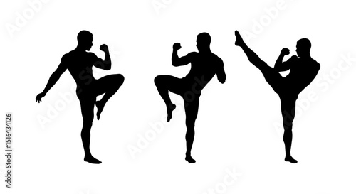 Powerful Martial Arts Silhouette of a Man Performing Kicks