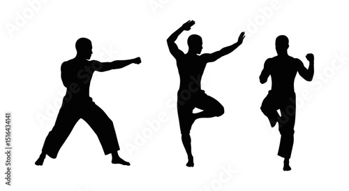 Silhouettes of a Man Performing Martial Arts and Balance Exercises