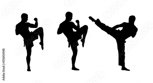 Powerful Muay Thai Kicks: Silhouette of martial artists in action.