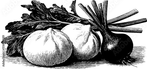 Engraved illustration of bao buns with pickled vegetables for culinary art and design