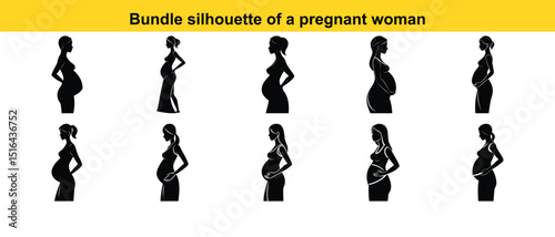 Collection of Pregnant Woman Silhouettes Diverse Poses and Stages