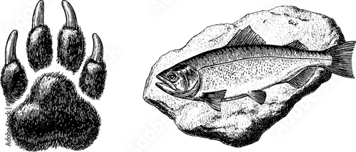 Engraved wildlife illustrations featuring bear paw and salmon design