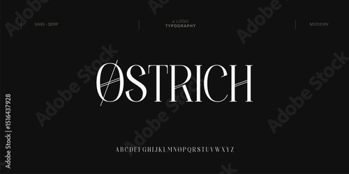 Ostrich typography beauty fashion elegant minimalist serif italic fonts decorative wedding vintage retro logos. Minimal luxury font alphabet logo. Vector illustration