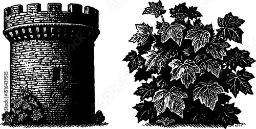 Engraved illustration of castle tower and ivy for historical design