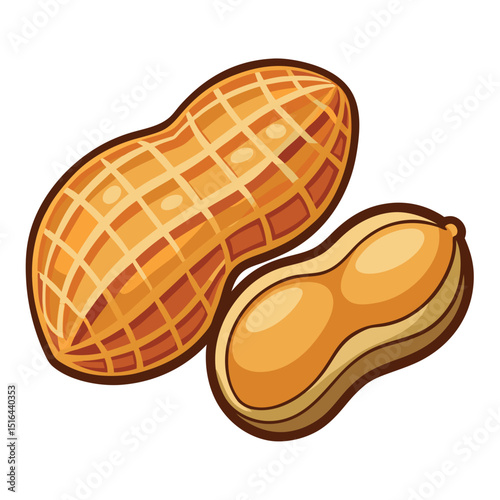 Illustration of a Peanut and a Peanut Half with Shell and Seed Together