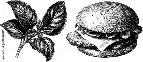Engraved illustration set of chicken parmesan sandwich and basil leaves for culinary designs